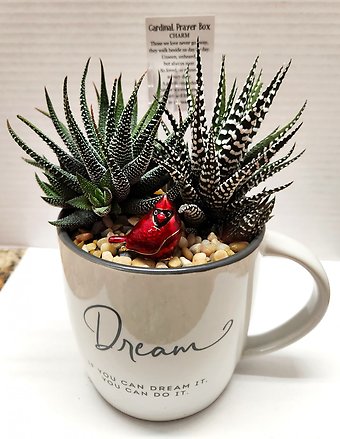 If You Can Dream it you can Do it Planter