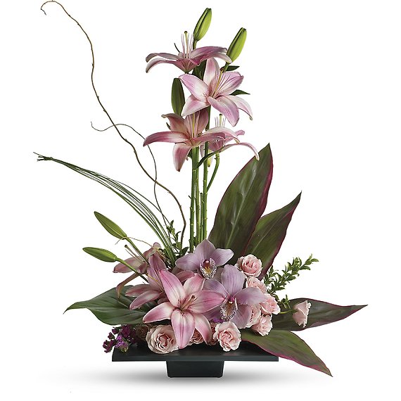Imagination Blooms with Cymbidium Orchids
