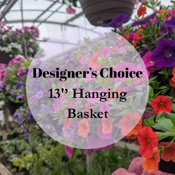 Designer\'s Choice 13\'\' Hanging Pot