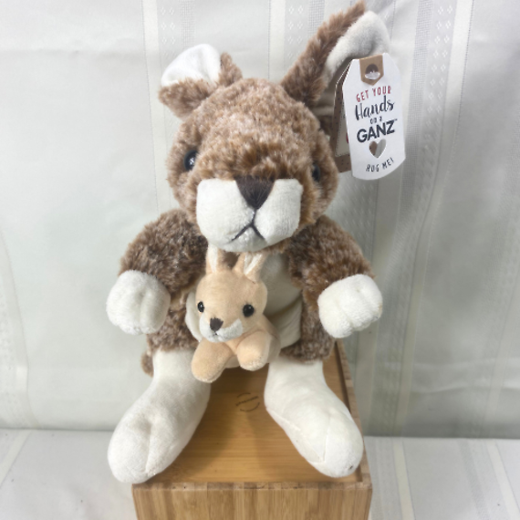 Kangaroo With Baby