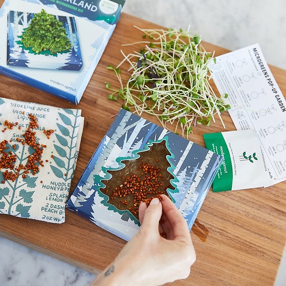 Organic Microgreens Grow Kit