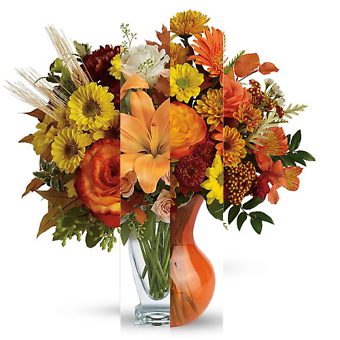 Fall Designer\'s Choice