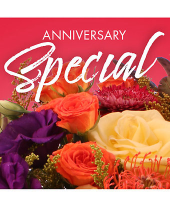 Anniversary Special Designer\'s Choice