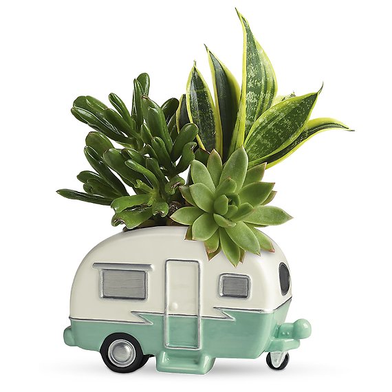 Cool Camper Succulent Garden