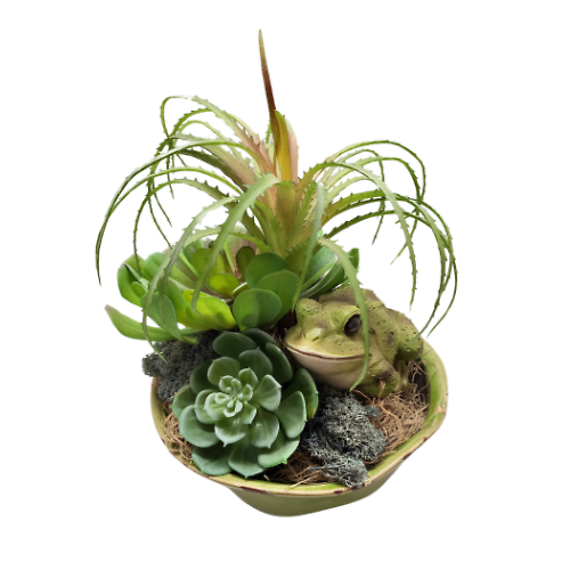 Frog\'s Silk Desert Retreat