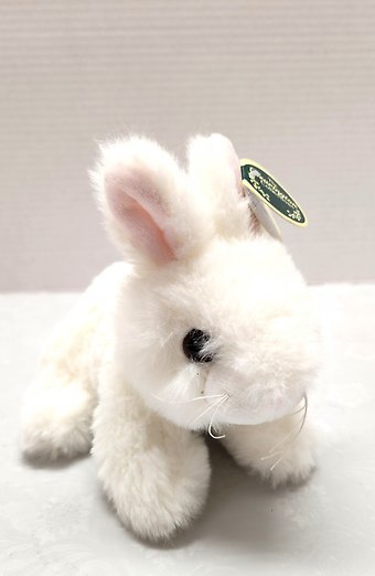 Lil\' Jumpy the White Bunny