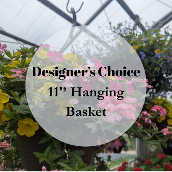 Designer\'s Choice 11\'\' Hanging Basket