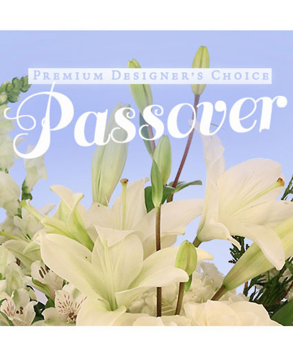 Passover Premium Designer\'s Choice