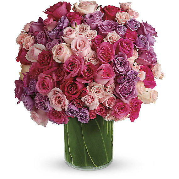 Rose Rapture