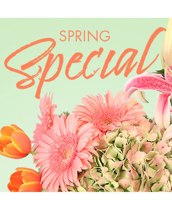 Special of Spring Florals Designer\'s Choice