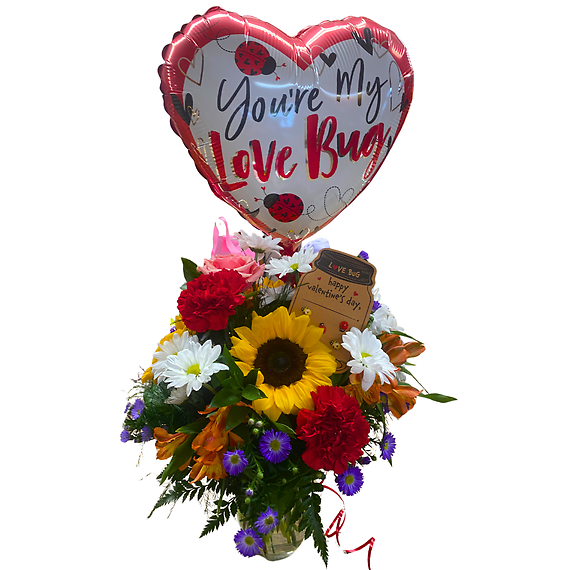 LoveBug (Includes Mylar)