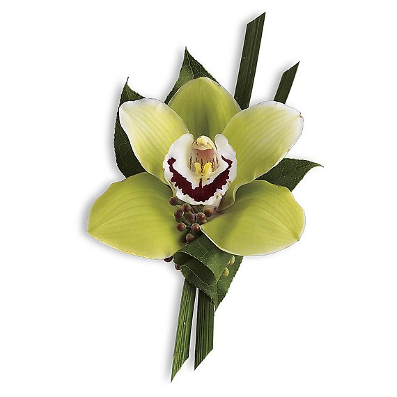 Green Orchid Boutonniere