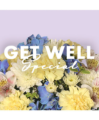 Get Well Special Designer\'s Choice