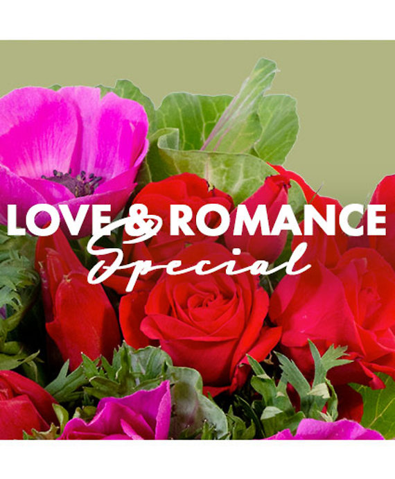 Love & Romance Special Designer\'s Choice