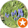 C B