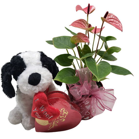 Beloved Bundle