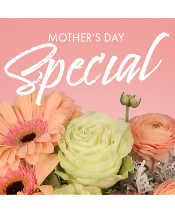 Mother\'s Day Special Designer\'s Choice