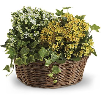 Basket of Joy