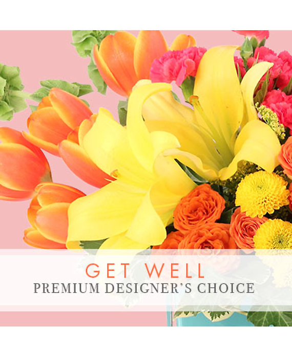 Premium Get Well Florals Designer\'s Choice