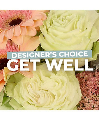 Get Well Florals Designer\'s Choice